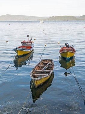 Küçük balıkçı tekneleri, Valdivia Nehri kıyısında demirlemiş, 