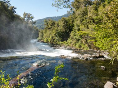 Şelale La Leona del Rios Fuy, Şili 'nin güneyindeki Huilo Huilo Biyolojik Rezervi, Panguipulli, Rios Bölgesi' nde 10 metre yüksekliğinde şelale.