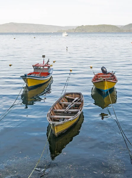 Small fishing boats, moored on the coast of the Valdivia River, — Stock Photo, Image