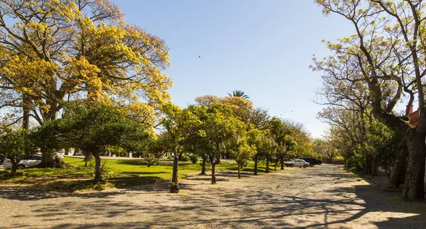 Overzicht van het historische en koloniale centrum van Colonia del SACR — Stockfoto