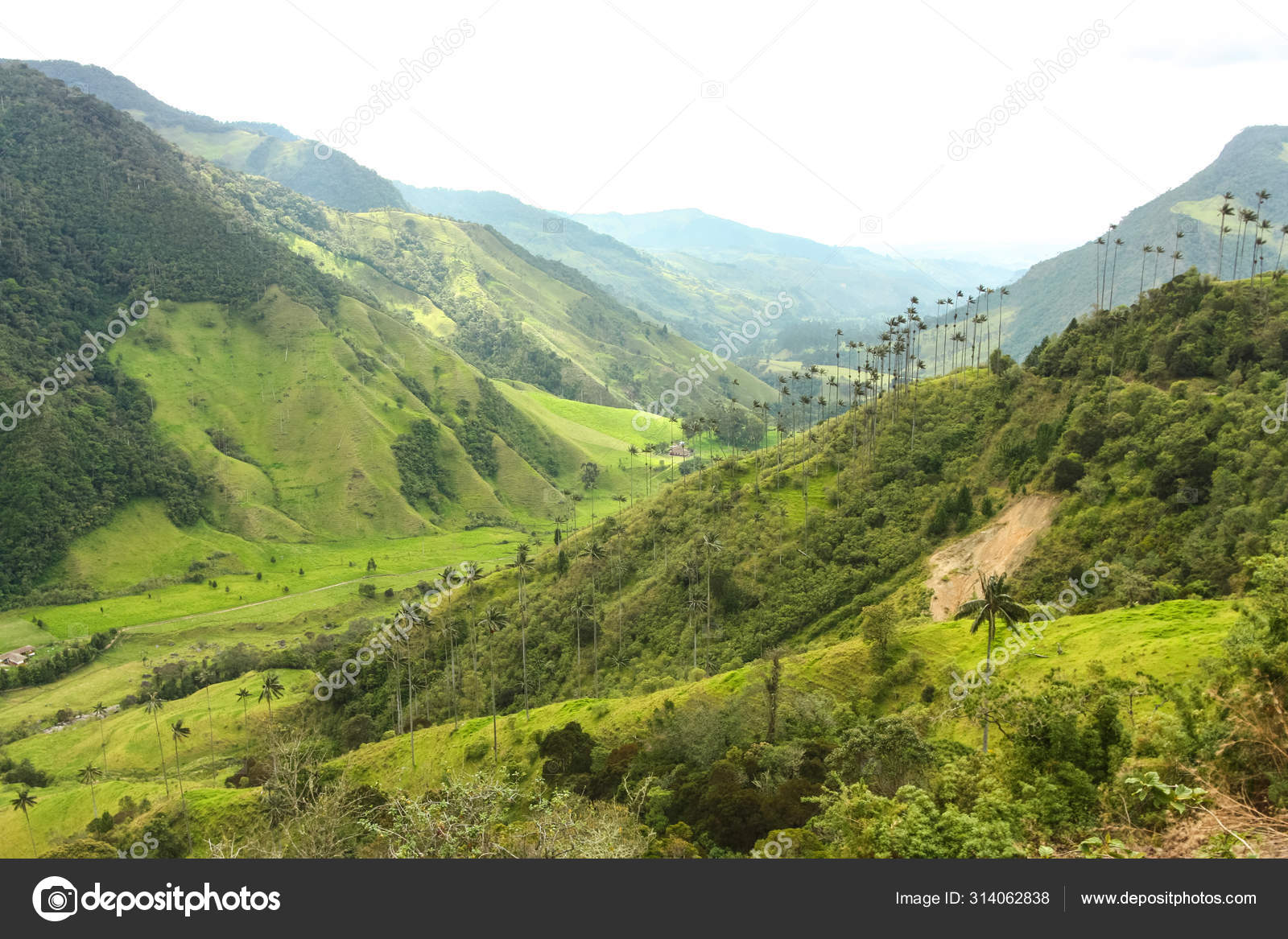 Cruce de la Cordillera Central: Conectando Regiones, image size:1600x1167
