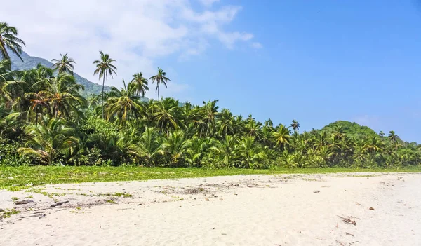 Playa caribeña con bosque tropical en Parque Nacional Tayrona, C — Foto de Stock