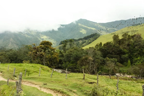 Vale do Cocora, que está aninhado entre as montanhas do Coríntios — Fotografia de Stock
