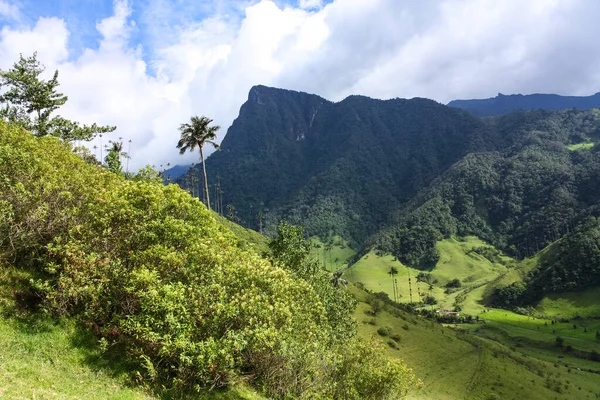 Cocora-Tal, das eingebettet zwischen den Bergen des Cor — Stockfoto