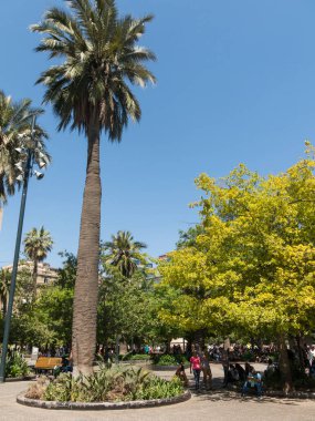 Santiago de Chile Plaza de Armas meydanıPanorama.