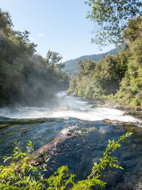 La Leona Şelalesi, Huilo Huilo Biyolojik Rezerv, Los Ri