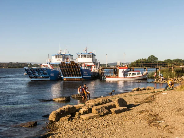 Transbordador de pasajeros y automóviles en el río Valdivia, cerca de la ciudad de —  Fotos de Stock