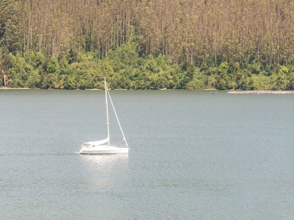 Ein Segelboot fährt auf dem Valdivia Fluss, in der Region der — Stockfoto