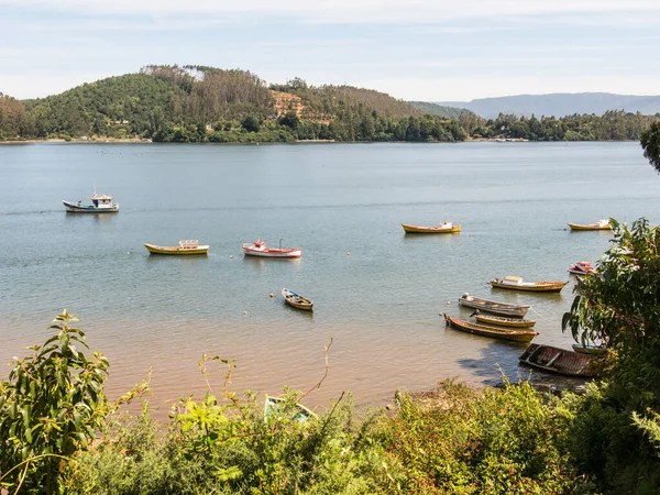 Vissersboten afgemeerd aan de monding van de Valdivia rivier. Valdivi — Stockfoto