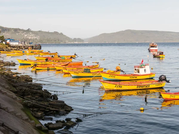 Kleine Fischerboote, die an der Küste des Valdivia-Flusses festgemacht haben, — Stockfoto