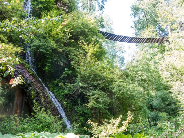 Hölzerne hängebrücke steg in huilo huilo biologischen reser — Stockfoto