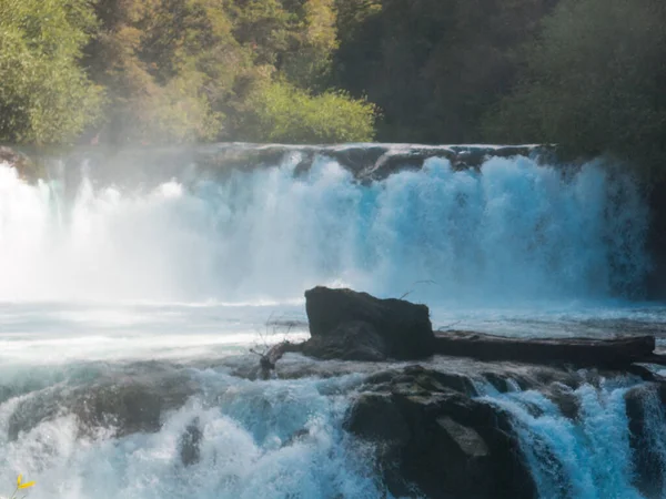 Waterfall of La Leona, in Huilo Huilo Biological Reserve, Los Ri — Stock Photo, Image