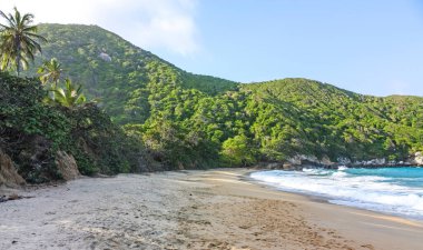 Kolombiya 'daki Tayrona Ulusal Parkı' nda tropikal ormanları olan Karayip sahilleri. Tayrona Ulusal Parkı Kolombiya 'nın Karayip Bölgesi' nde yer almaktadır. Kolombiya 'nın en önemli doğal parklarından biridir.