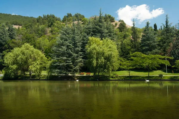 Peaceful Green Park Sandanski City Bulgaria — Stock Photo, Image