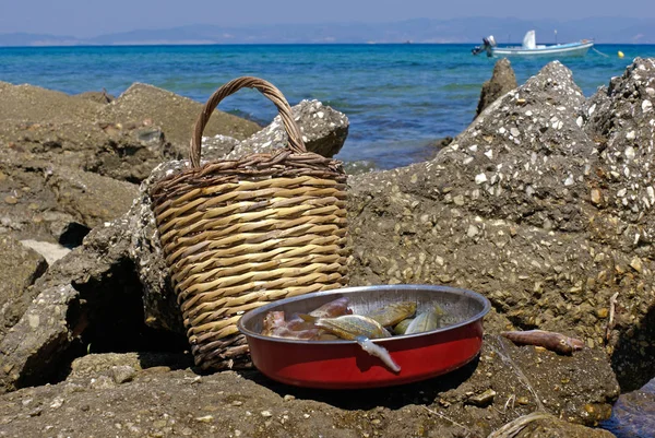 Frische Fische Strand Griechenland — Stockfoto
