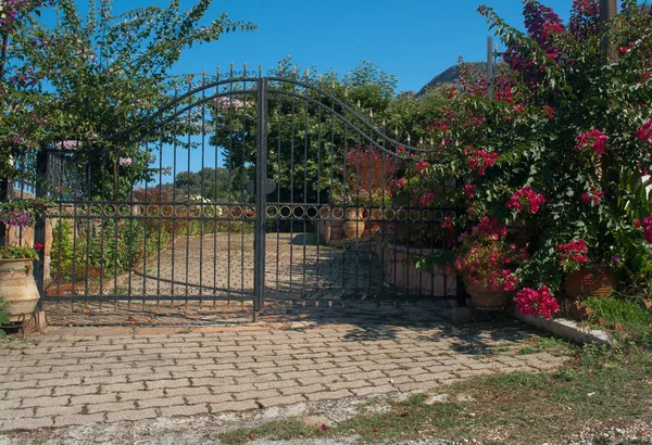 Traditionelle Griechische Tür Mit Bunten Blumen Als Hintergrund Stockfoto