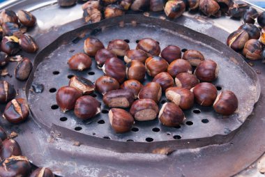 Organik kahverengi kestaneler