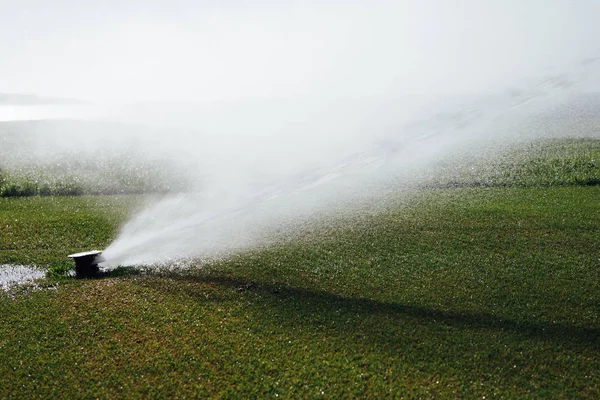 Aspersor Gramado Automático Campo Golfe — Fotografia de Stock