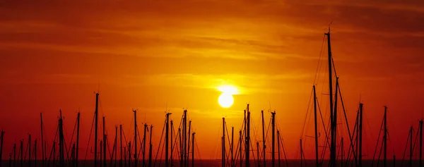 Силуэты Яхтенных Мачт Красный Восход Солнца Порту — стоковое фото