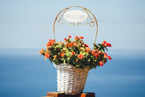 flowers basket with Welcome title, blue sea background