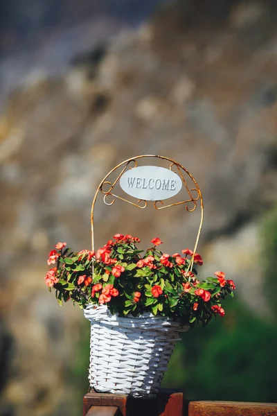 flowers basket with Welcome title