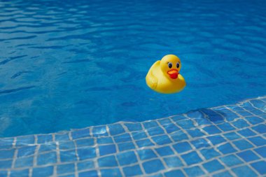 Sarı lastik ördek mavi yüzme havuzunda
