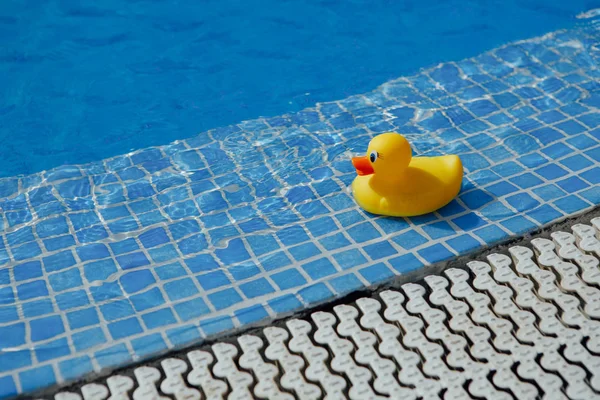 Sarı Lastik Ördek Mavi Yüzme Havuzunda — Stok fotoğraf