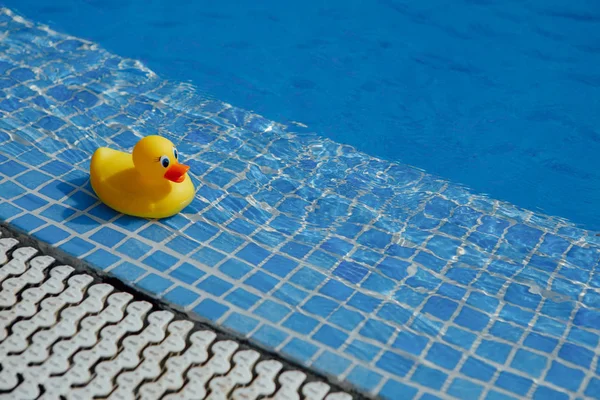 Žlutá Gumová Kachna Bazénu Blue — Stock fotografie