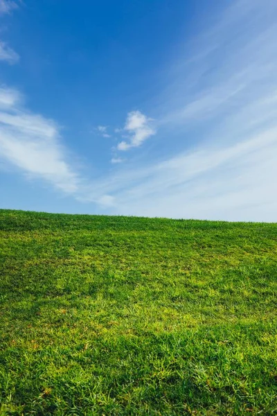 Grönt Gräs Och Blå Himmel Natur Bakgrund — Stockfoto