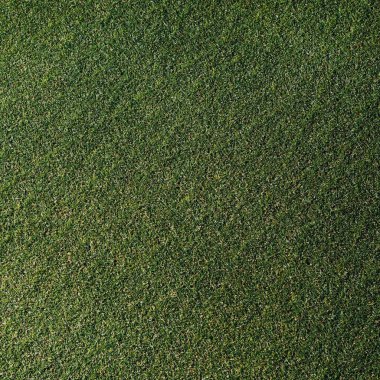 yeşil çim dokusu, closeup görünümü