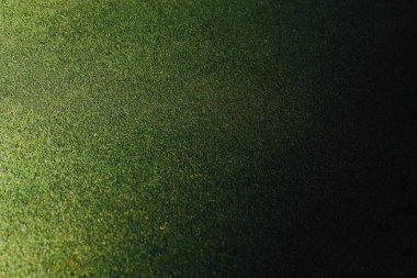 yeşil çim arka plan gölge ile