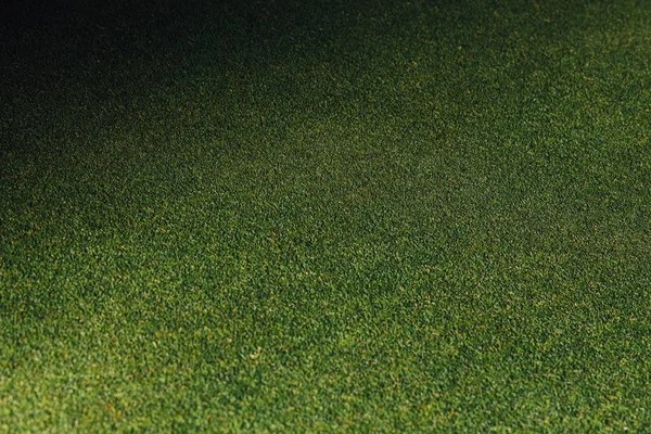 Groen Gras Achtergrond Met Schaduw — Stockfoto