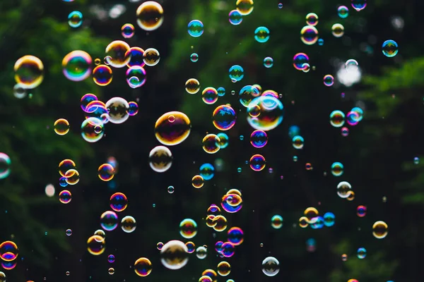 Tvål Bubblor Grön Natur Bakgrund — Stockfoto