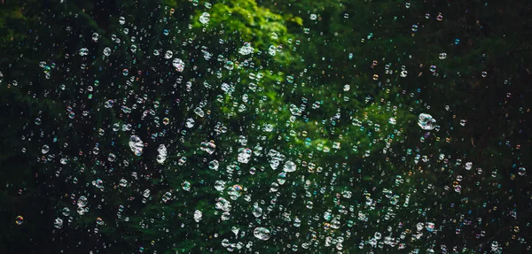 Tvål Bubblor Grön Natur Bakgrund — Stockfoto