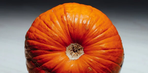 Orangefarbener Kürbisboden Nahaufnahme — Stockfoto