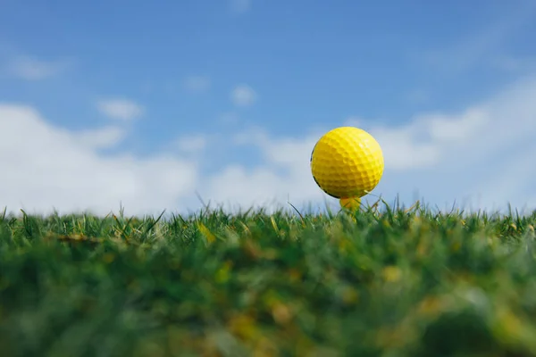 黄色高尔夫球球在三通 绿色草和蓝天背景 — 图库照片