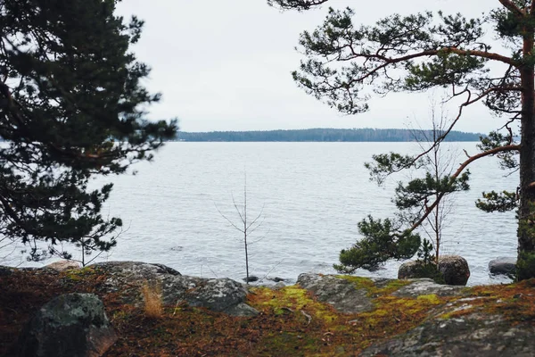 Uitzicht Het Meer Door Het Bos Scandinavische Bosrijke Landschap — Stockfoto