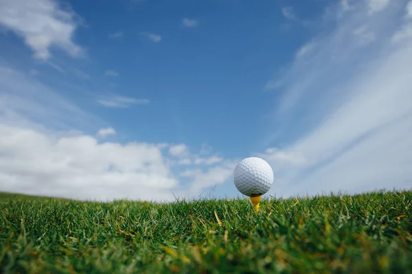 高尔夫球在三通 绿色草和蓝天背景 — 图库照片