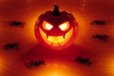 jack-o-lantern pumpkin with spiders, Halloween background clipart
