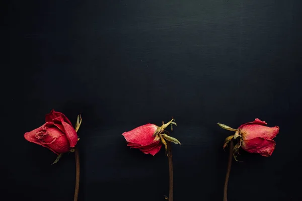 Drei Trockene Rote Rosen Auf Schwarzem Hintergrund — Stockfoto