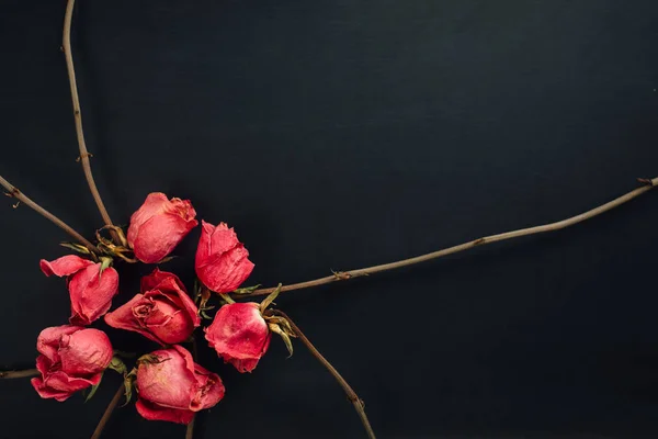 Goth Stil Torra Röda Rosor Svart Bakgrund — Stockfoto