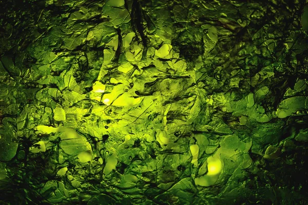 Αποξηραμένα Nori Φύκια Laminaria Φύλλο Φωτισμένο Υφή — Φωτογραφία Αρχείου
