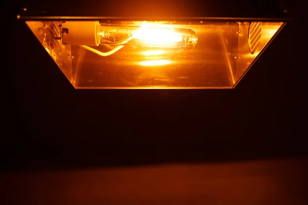 High Pressure Sodium Lamp Hps Orange Light — Stock Photo, Image