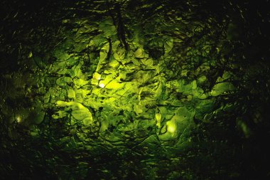 Kurutulmuş nori deniz yosunu laminarya ışıklı levha doku