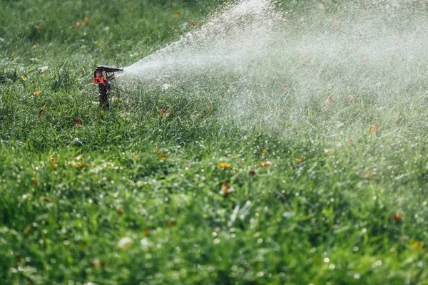 Working Lawn Sprinkler Spraying Water Green Grass — Stock Photo, Image