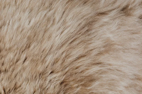 Brown Sheepskin Fur Texture Background — Stock Photo, Image