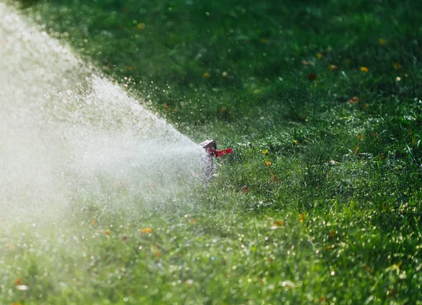 Aspersor Césped Trabajo Rociando Agua Sobre Hierba Verde —  Fotos de Stock