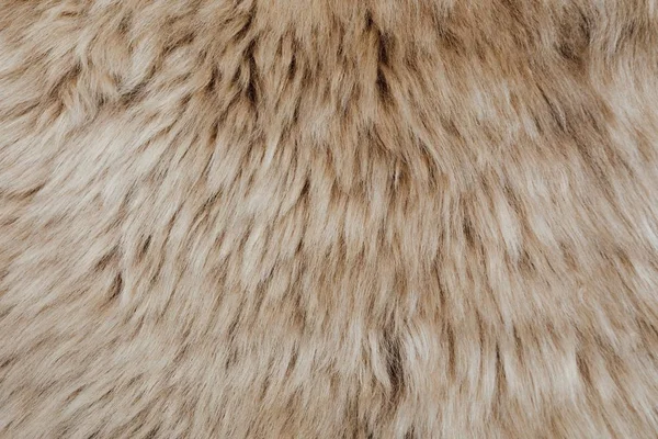 Brown Sheepskin Fur Texture Background — Stock Photo, Image