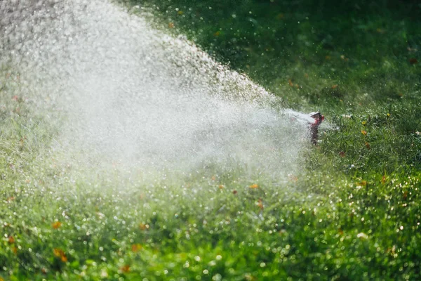 Arbetar Gräsmatta Sprinkler Spraya Vatten Över Grönt Gräs — Stockfoto