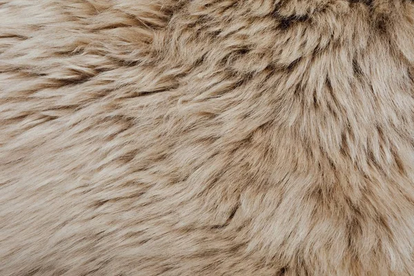 Brown Sheepskin Fur Texture Background — Stock Photo, Image